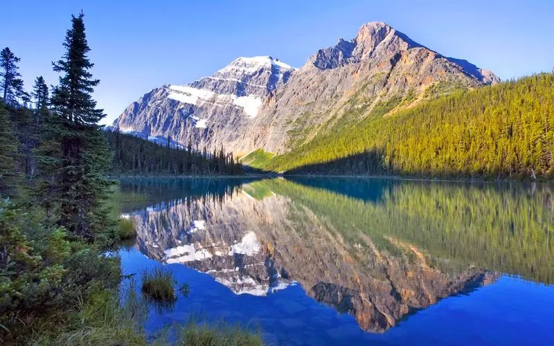 智慧工厂智能全自动